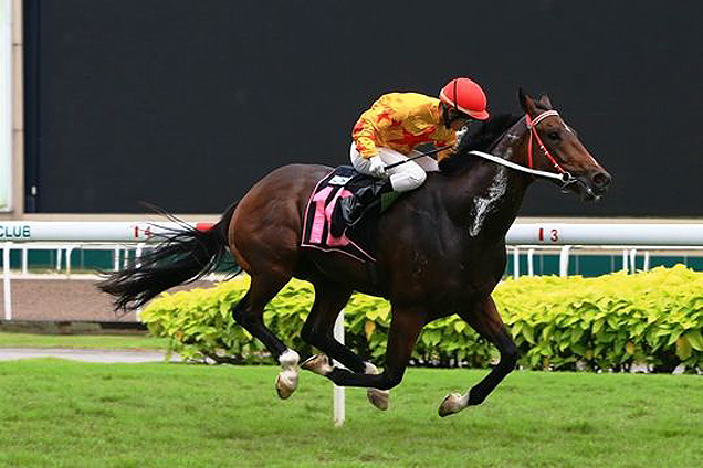 Oxbow Sun winning the CLASS 3 Oxbow Sun winning the CLASS 3