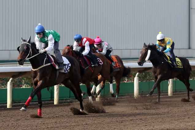 Pakistan Star (green and white silks) crosses the line first in a 1200m dirt barrier trial at Sha Tin Pakistan Star (green and white silks) crosses the line first in a 1200m dirt barrier trial at Sha Tin