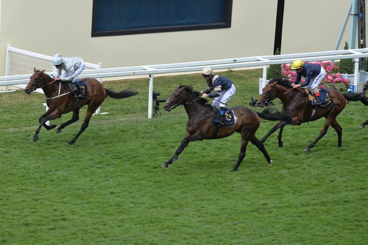 Permian winning the King Edward VII Stakes (Group 2)