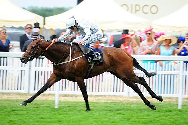 Permian winning the King Edward VII Stakes (Group 2)