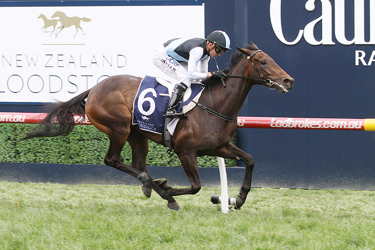Pinot winning the Ethereal Stakes