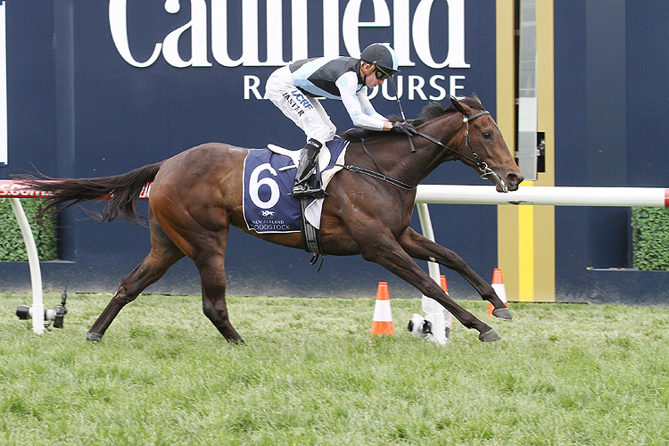 Pinot winning the Ethereal Stakes