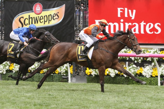 Prezado winning the Schweppes Fling Prezado winning the Schweppes Fling