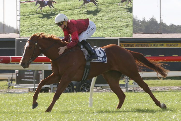 Prom Queen winning the Breeders Stks