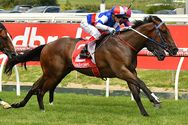 Property winning the Blue Diamond Prelude (C&G)