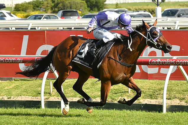 Prussian Vixen winning the Mypunter.Com Bellmaine Stakes Prussian Vixen winning the Mypunter.Com Bellmaine Stakes