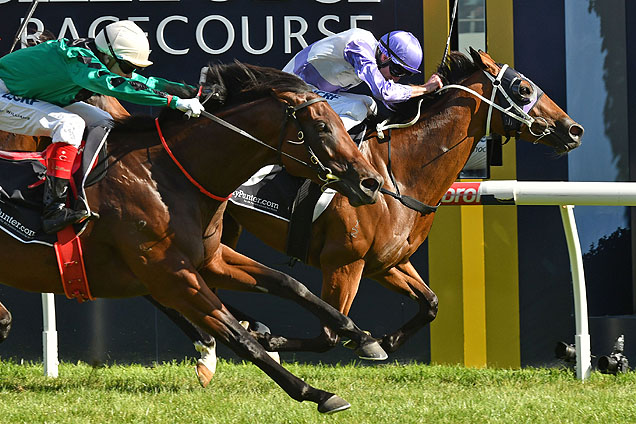 Prussian Vixen winning the Mypunter.Com Bellmaine Stakes