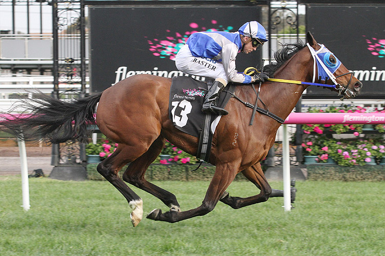 Pure Pride winning the Paris Lane Hcp