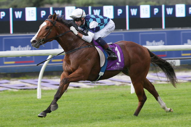 Qiji Phoenix winning the Diamond Lodge Champagne Stks Qiji Phoenix winning the Diamond Lodge Champagne Stks