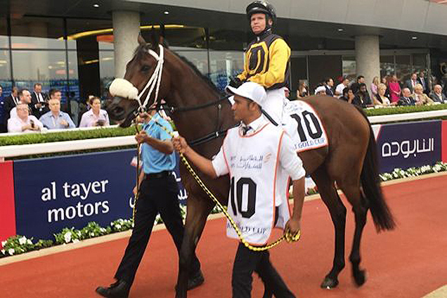 Quechua (Barend Vorster) about to head out onto the Meydan track