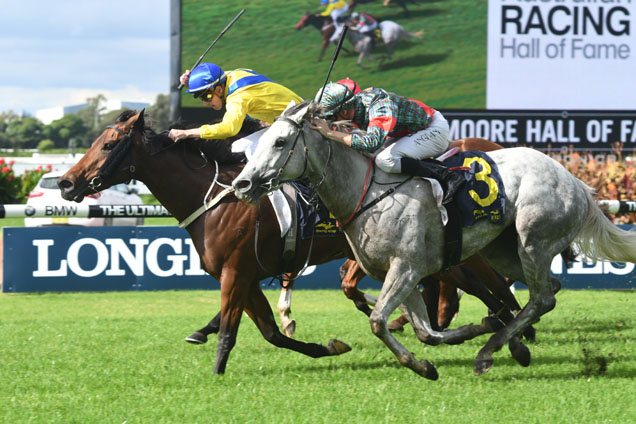 Quick Feet winning the George Moore Hall Of Fame-Bm73 Quick Feet winning the George Moore Hall Of Fame-Bm73