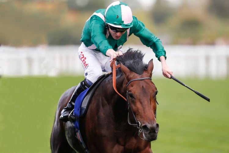 RAHEEN HOUSE running in the Londonmetric Noel Murless Stakes at Ascot