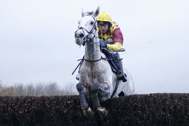RAMSES DE TEILLEE winning the Cohort PLC Novices' Limited Handicap Steeple Chase at Chepstow