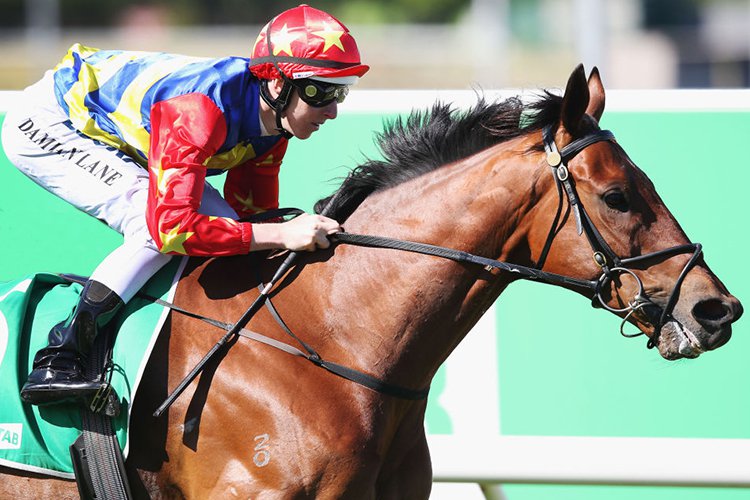 ROCK 'N' GOLD winning the Procon Apache Cat Classic at Cranbourne