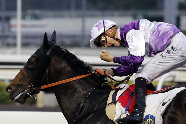 Rattan winning the PANASONIC FRONT LOADING WASHING MACHINE HANDICAP Rattan winning the PANASONIC FRONT LOADING WASHING MACHINE HANDICAP