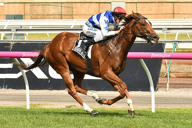 Redkirk Warrior winning the Lexus Newmarket Hcp Redkirk Warrior winning the Lexus Newmarket Hcp
