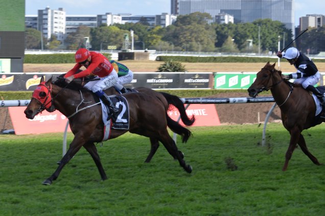 Redzel winning the Shorts Redzel winning the Shorts