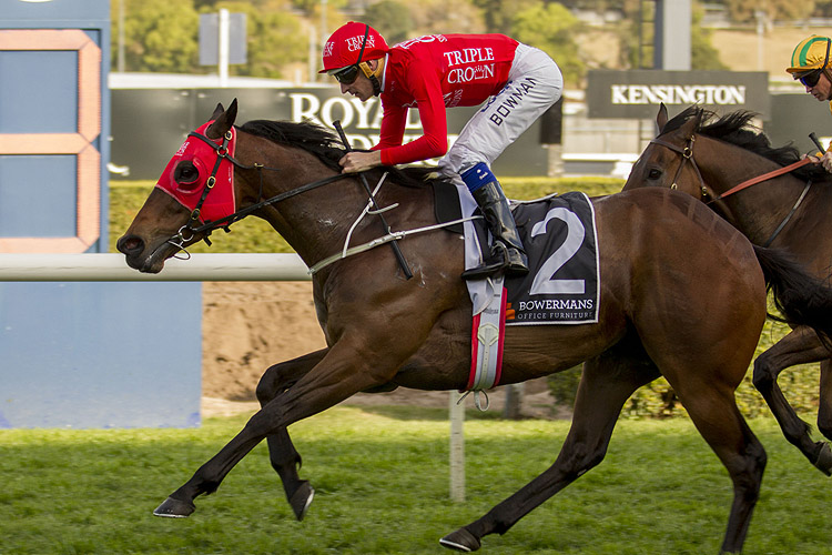 Redzel winning the Shorts Redzel winning the Shorts