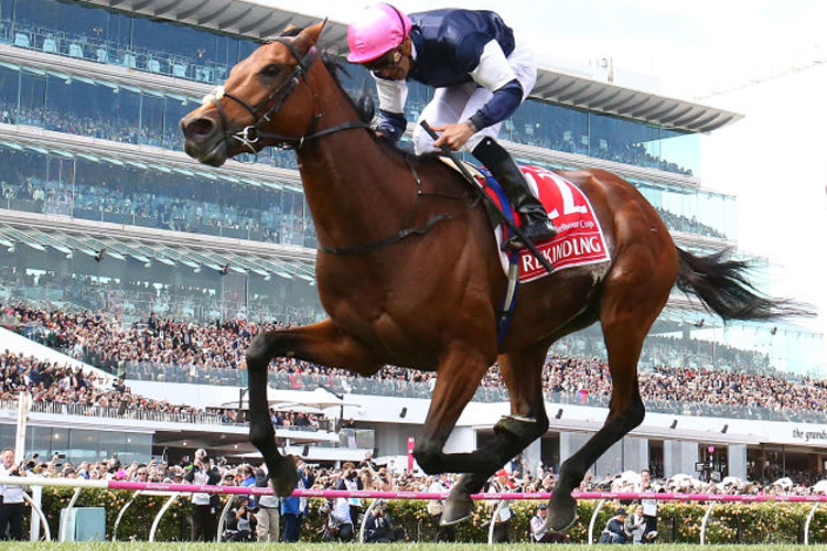 Rekindling wins the 2017 Melbourne Cup