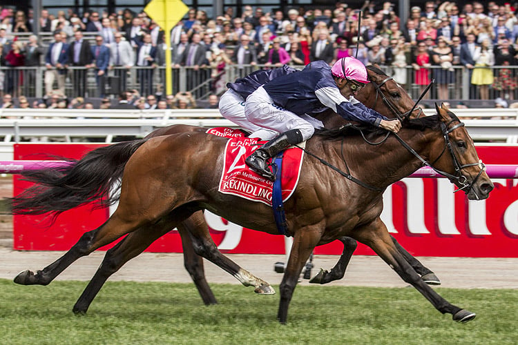 Rekindling wins the Melbourne Cup