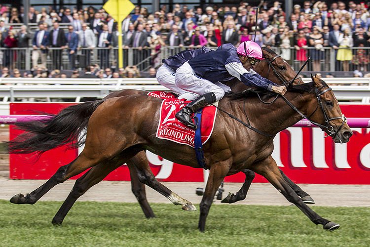 Rekindling winning the Emirates Melbourne Cup