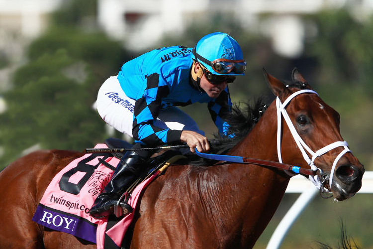 ROY H winning the Twinspires Breeders' Cup Sprint at Del Mar