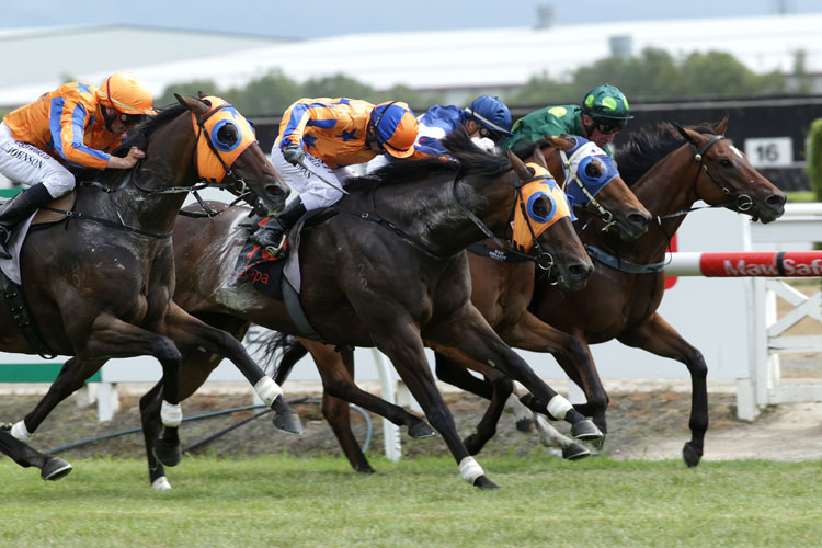 Royal Success(three off rail) winning the J Swap Contractors Sprint