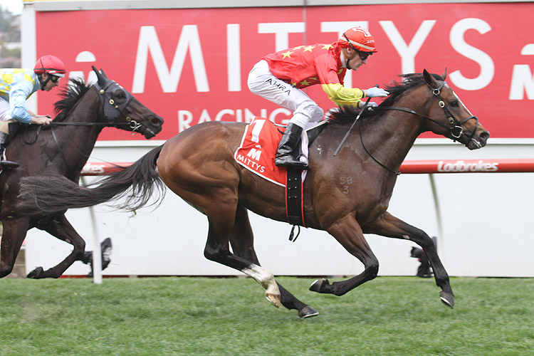 Russian Revolution winning the Mitty's McEwen Stakes