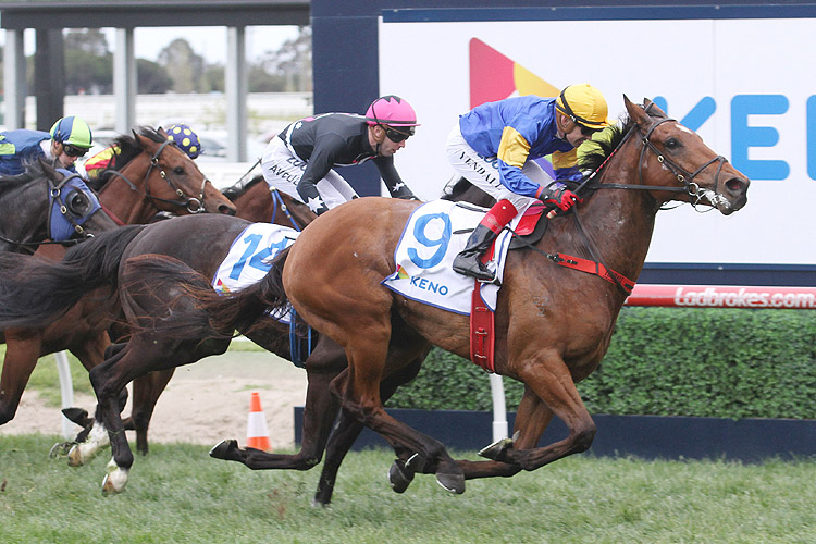 Santa Ana Lane winning the Sir Rupert Clarke Stakes Santa Ana Lane winning the Sir Rupert Clarke Stakes