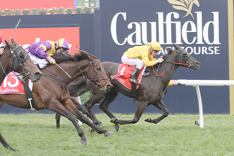 Savanna Amour winning the Ladbrokes Cockram Stakes