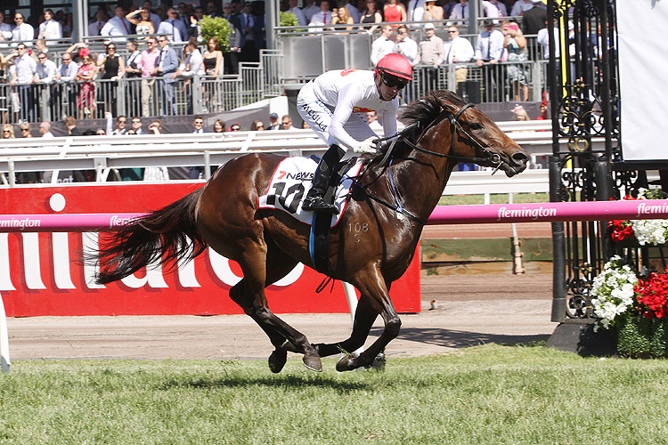 Savapinski winning the 7news Matriarch Stakes