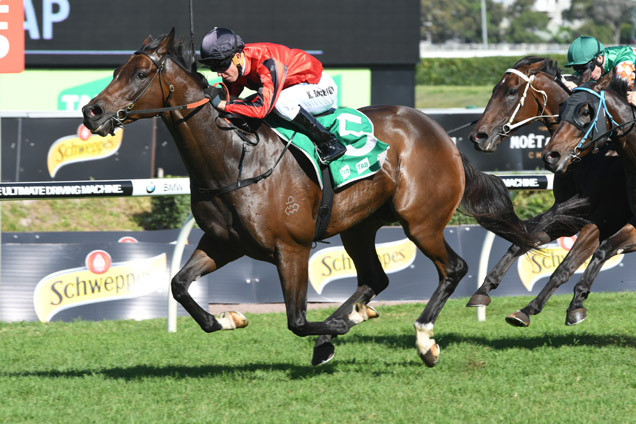 Schedule winning the Tab Highway Hcp (C2) Schedule winning the Tab Highway Hcp (C2)