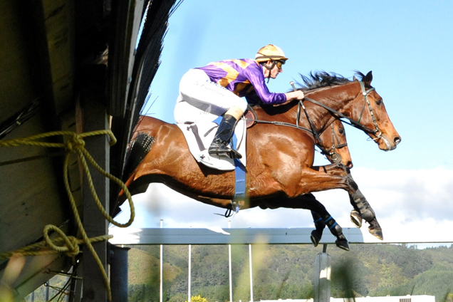 Sea King winning the Manawatu Itm Awapuni Hrdl