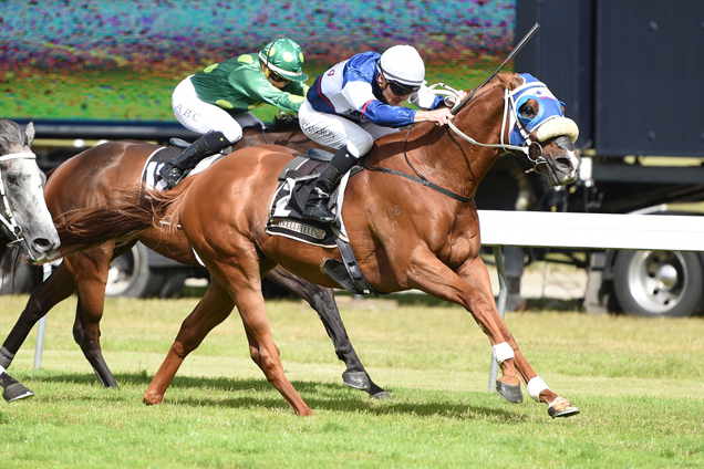 Seize The Moment winning the Anniversary Stakes