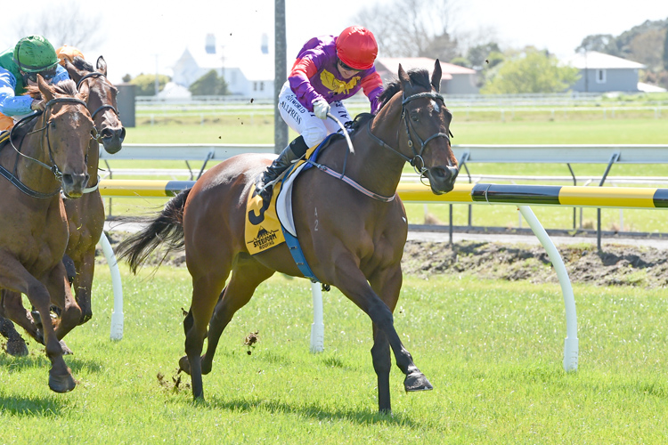 Sensible Princess winning the Nzb Ins. Pearl Series (Bm85)