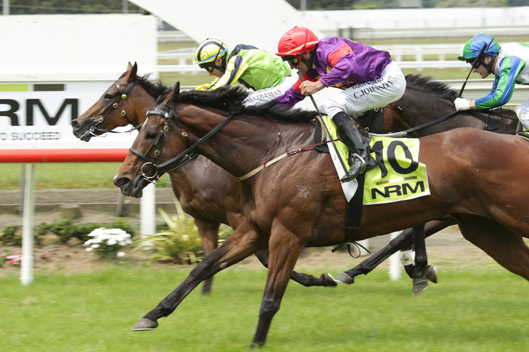 Sensible Princess winning the Auckland T'bred Breeders Stks