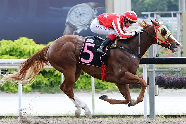 Shadow Of War winning the HAPPINESS 2017 STAKES CLASS 4