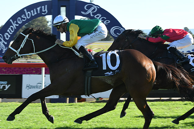 Shillelagh wins the Godolphin Crown