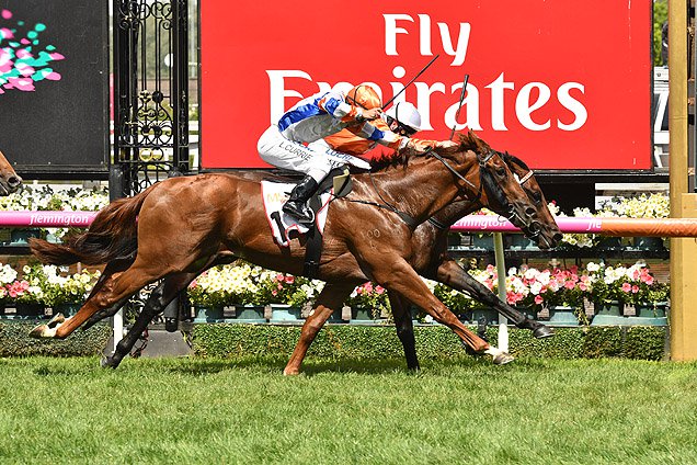 Sircconi winning the Mss Security Sires' Produce