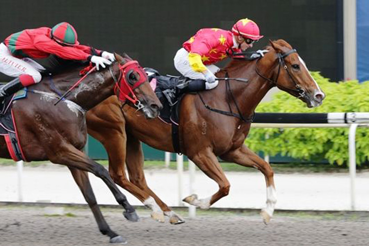 Skywalk winning the KRANJI STAKES A