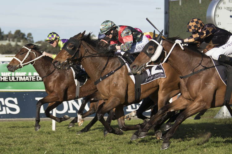 Slightly Sweet (middle) wins the Winter Stakes