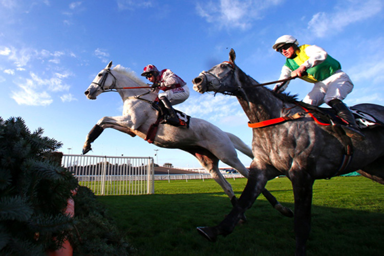 Smad Place.