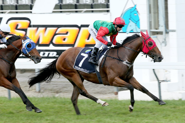 Smashing winning the Westbury Waikato Hcp