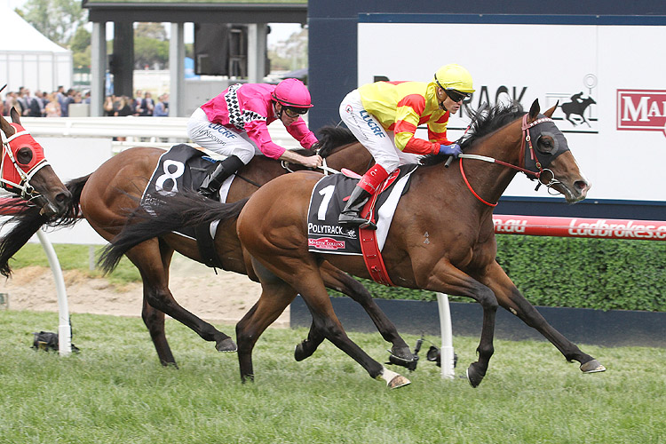 Snitzepeg winning the Gothic Stakes
