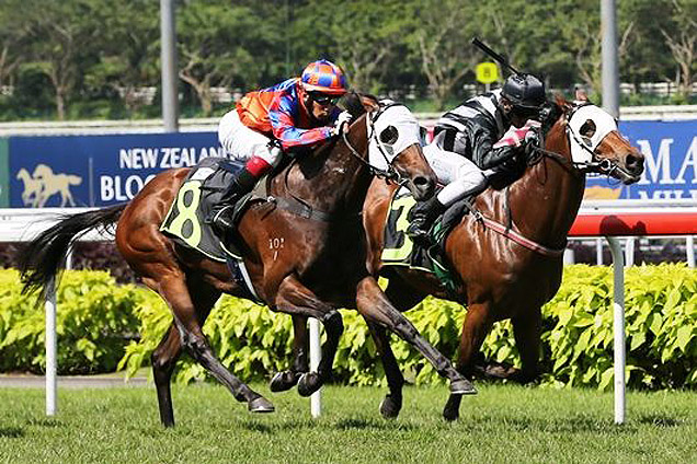 Solaris Spectrum winning the BRITISH CLUB GALLOP 2017 STAKES CLASS 3