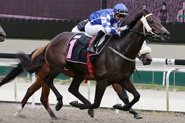 Song To The Moon winning the MACAU JOCKEY CLUB TROPHY OPEN BENCHMARK 67