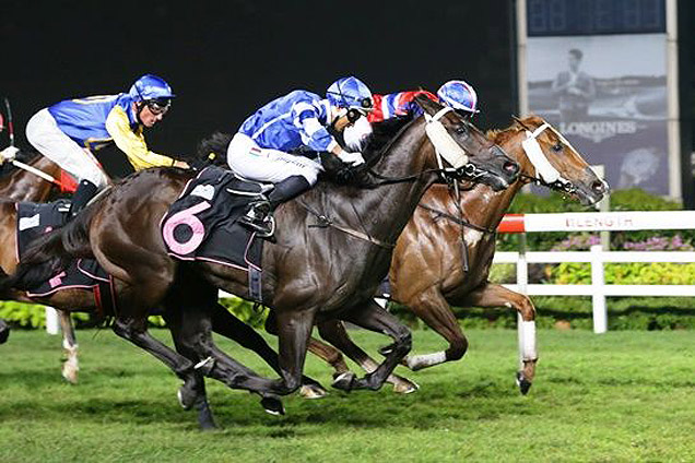 Song To The Moon winning the OPEN HANDICAP