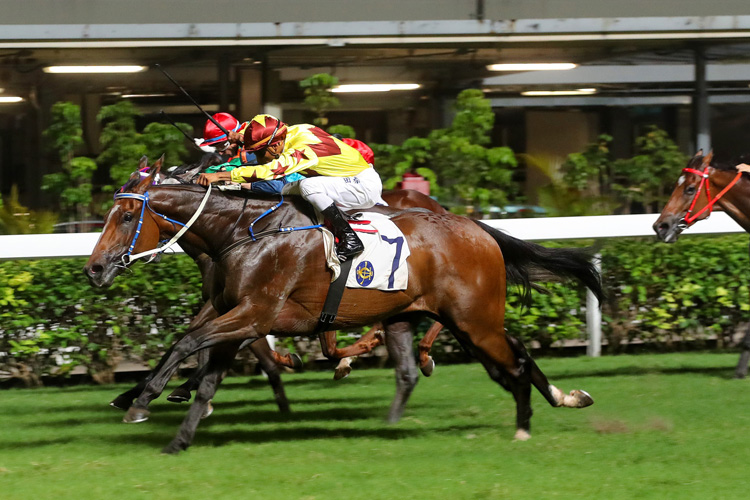 Southern Legend winning the SWEET ORANGE HANDICAP Southern Legend winning the SWEET ORANGE HANDICAP