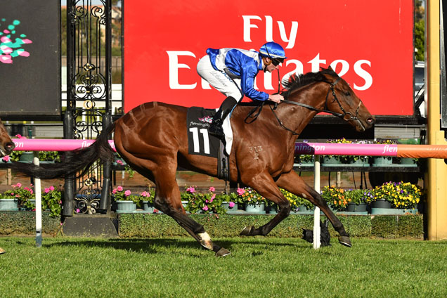 Sovereign Nation has form at Flemington