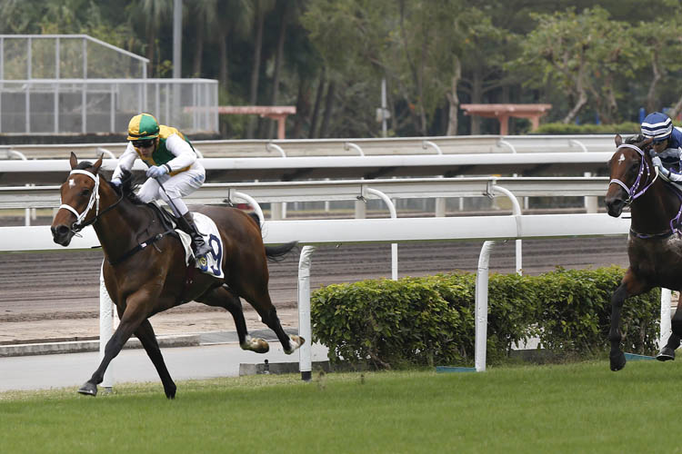 Sparkling Dragon winning the PANASONIC 4K OLED TV HANDICAP Sparkling Dragon winning the PANASONIC 4K OLED TV HANDICAP